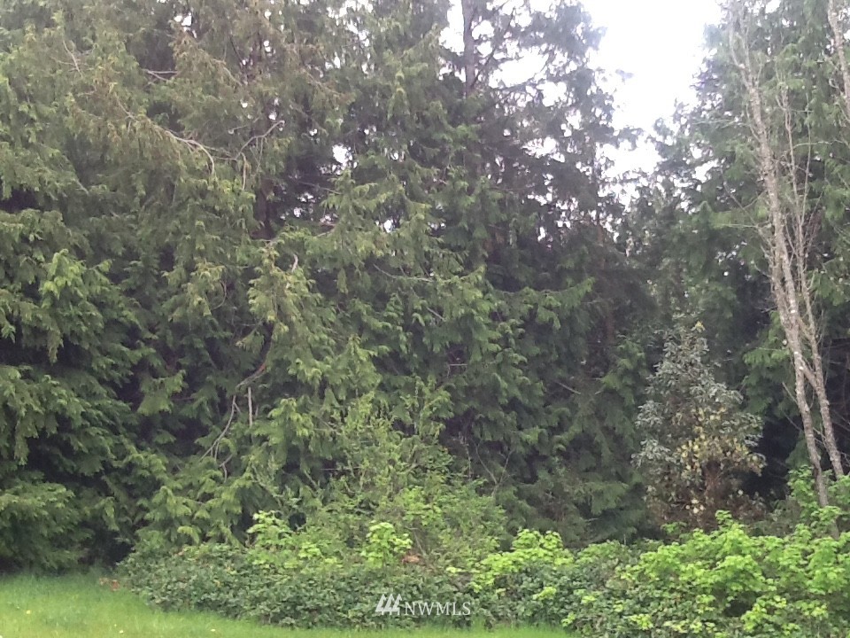 9 Dabob Road Quilcene, WA 98376 - Photo 2 of 2