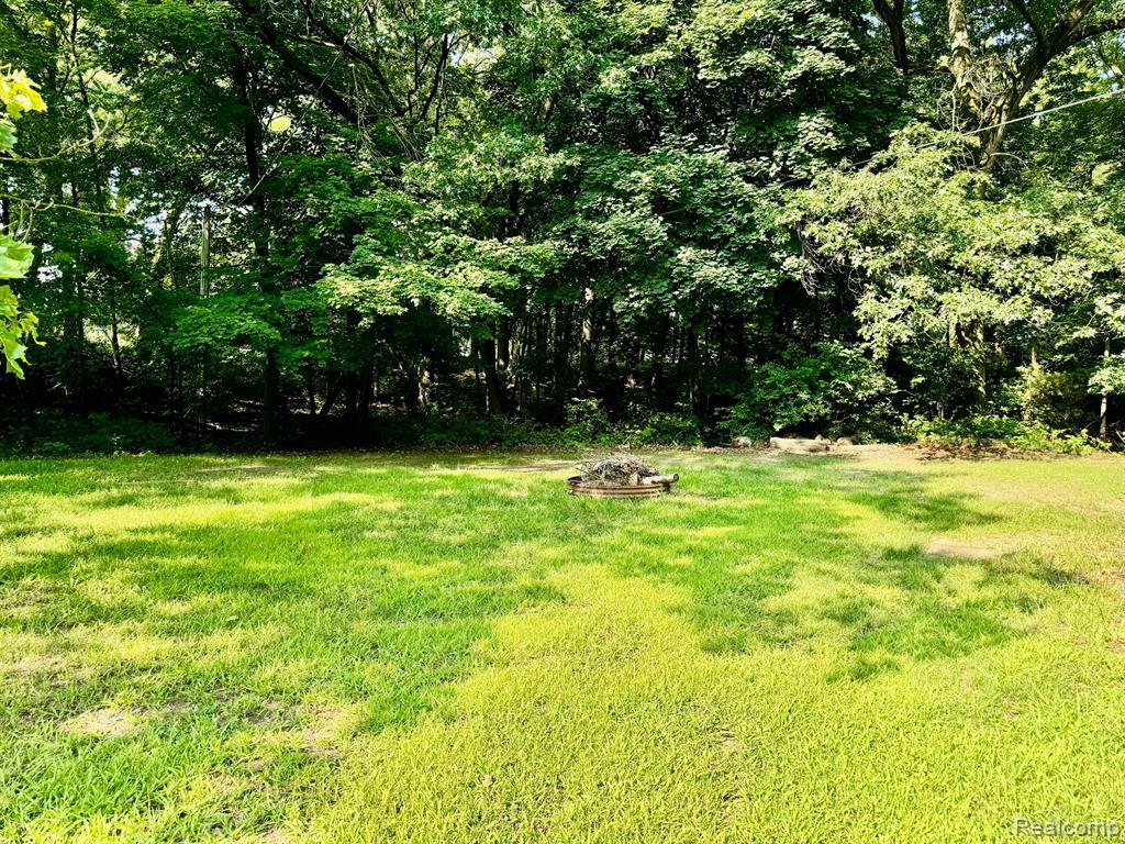 4111 Blood Road Metamora, MI 48455 - Photo 52 of 57