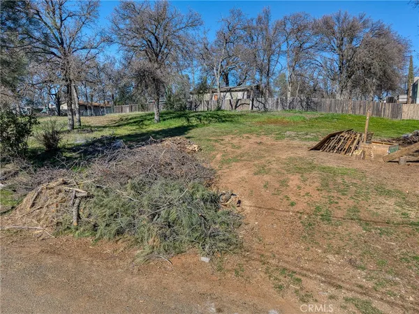 a view of a backyard with large trees