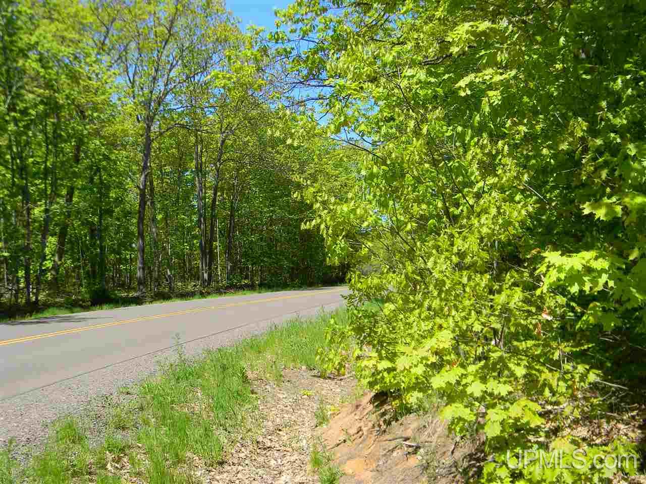 Tbd Rauhala Road, Unit LOT 6 COLES CREEK SUBDIV Atlantic Mine, MI 49931 - Photo 7 of 9