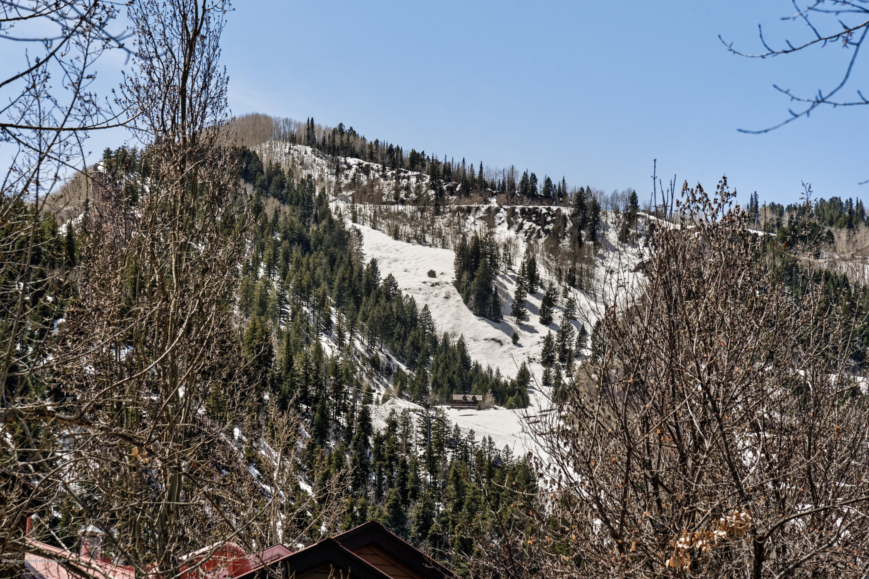 926 East Durant Avenue, Unit 3 Aspen, CO 81611 - Photo 20 of 20 a view of a city