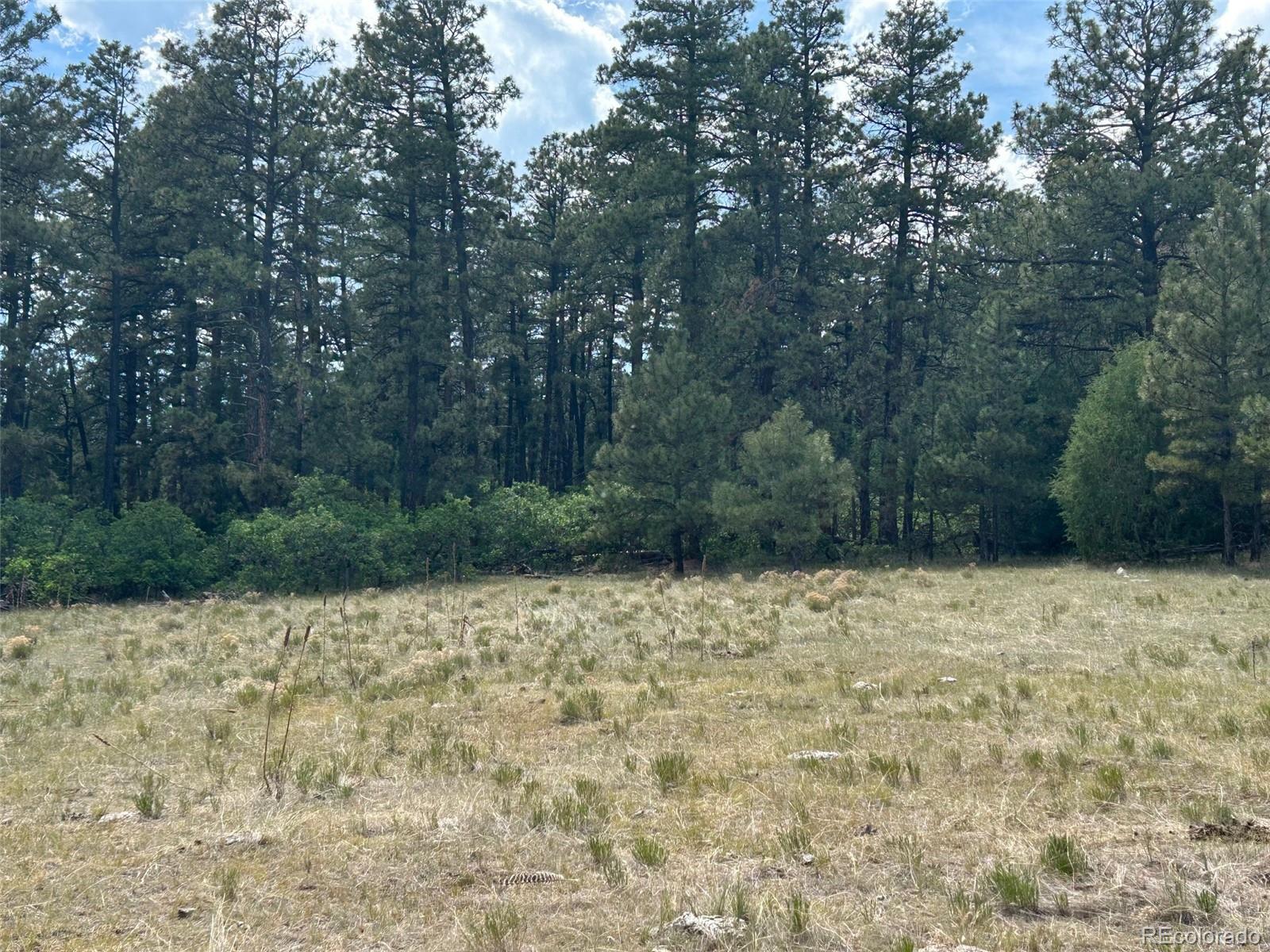 Lot 26 Tbd Signal Mountain Ranch Beulah, CO 81023 - Photo 13 of 15