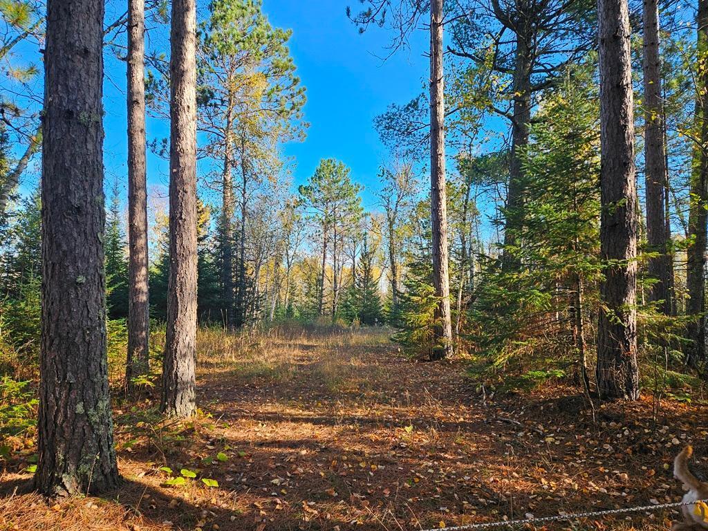 Tbd Leathers Road Orr, MN 55771 - Photo 1 of 1
