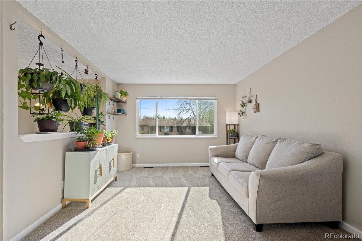 205 Walnut Street Frederick, CO 80530 - Photo 5 of 31 a living room with furniture and a potted plant