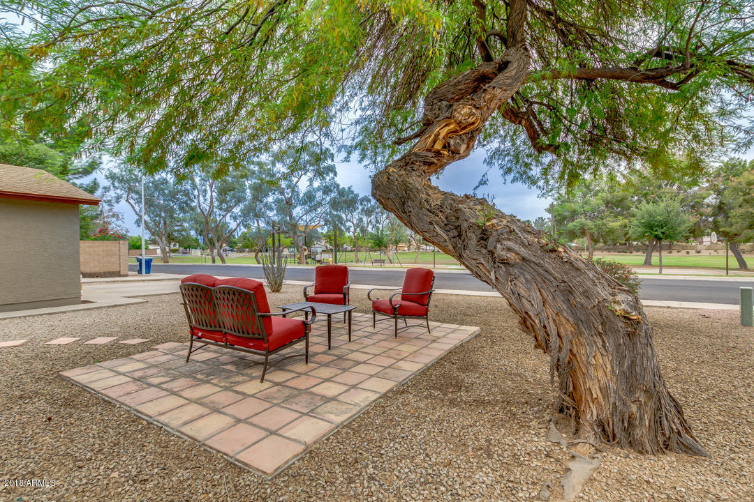 602 South Riata Street Gilbert, AZ 85296 - Photo 4 of 35 04-Riata