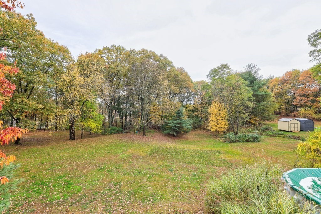 20 Flagg Street Boylston, MA 01505 - Photo 7 of 39 a view of a yard with a tree