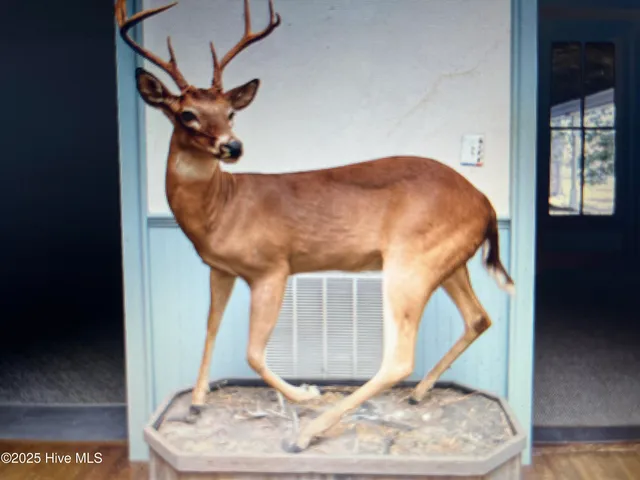 $149,995 | 209 East River Street, Colerain, NC 27924