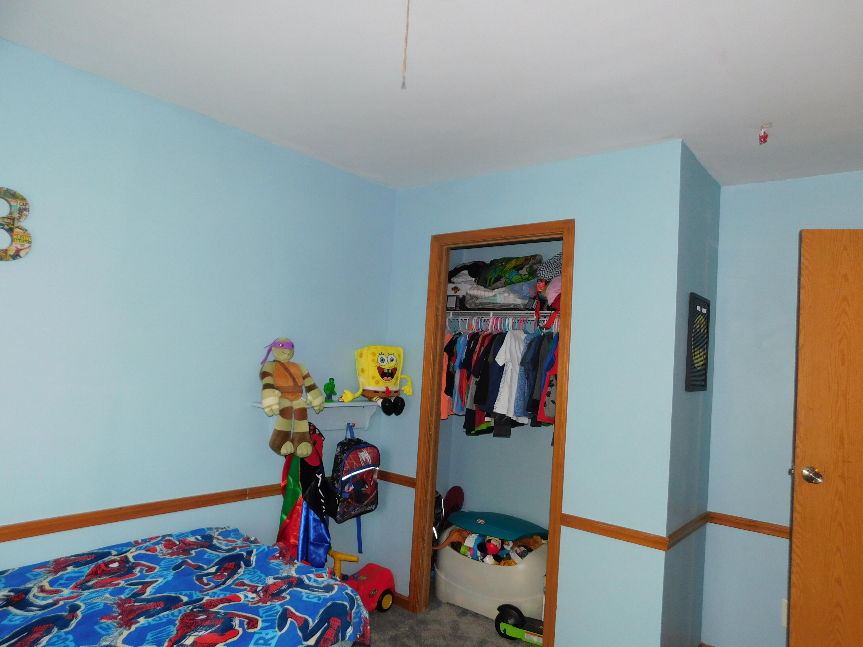 8494 East Hawley Road Hesperia, MI 49421 - Photo 16 of 32 DSCN2082