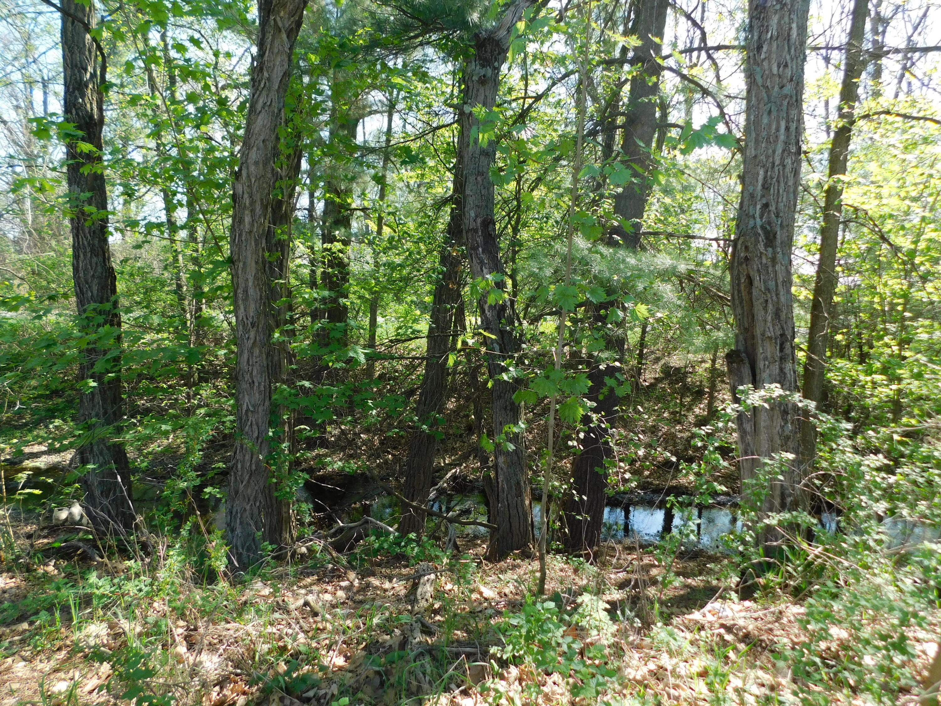 8494 East Hawley Road Hesperia, MI 49421 - Photo 20 of 32 DSCN2089
