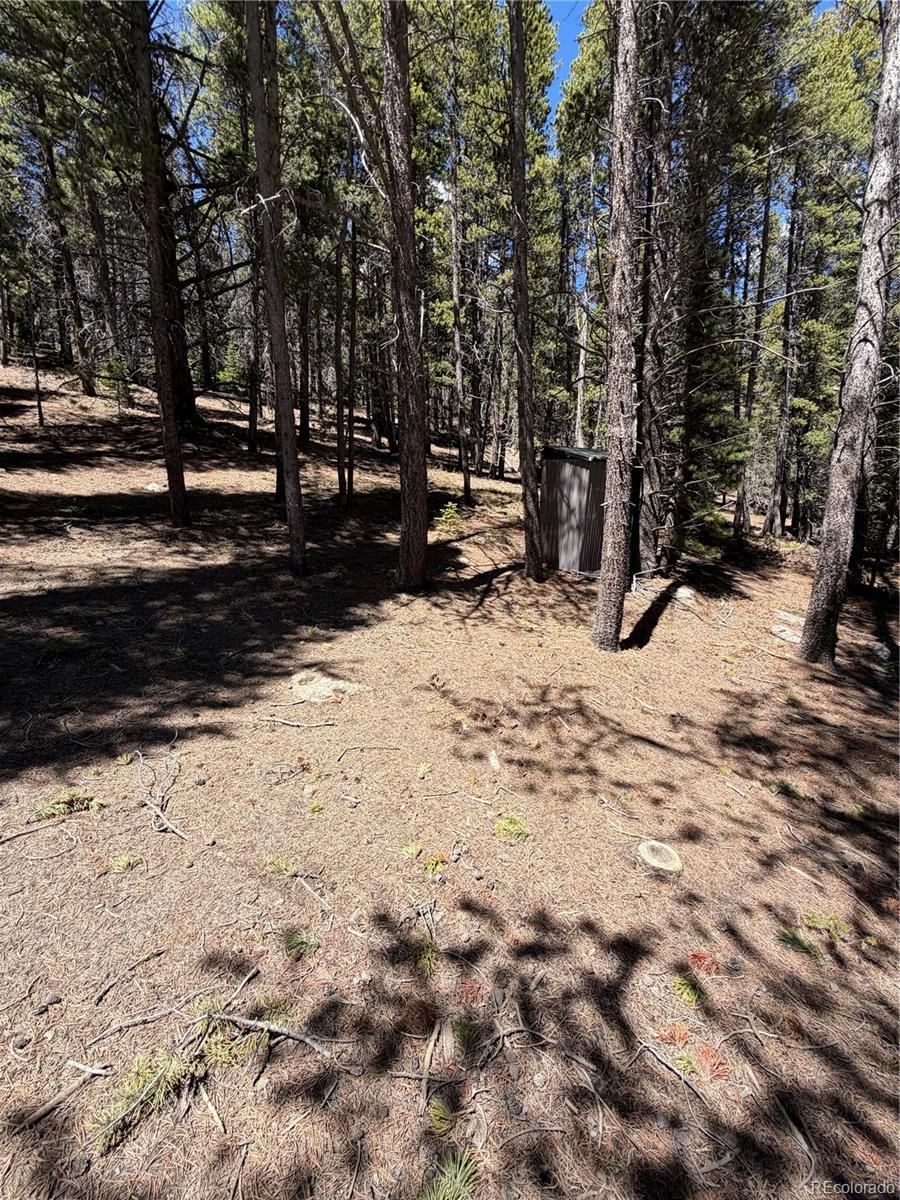Lot 378 Alice Road Idaho Springs, CO 80452 - Photo 19 of 26 a view of snow on the road