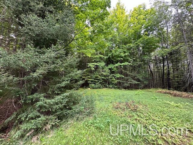 325 Mastodon Road Crystal Falls, MI 49920 - Photo 24 of 39
