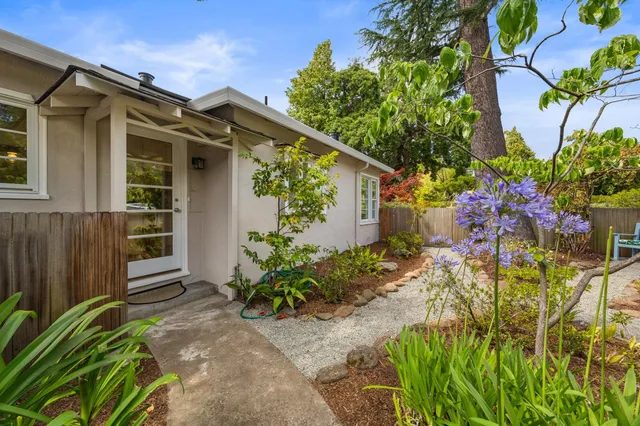 a view of a backyard with plants