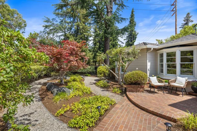 a view of a backyard with couches chair and potted plants
