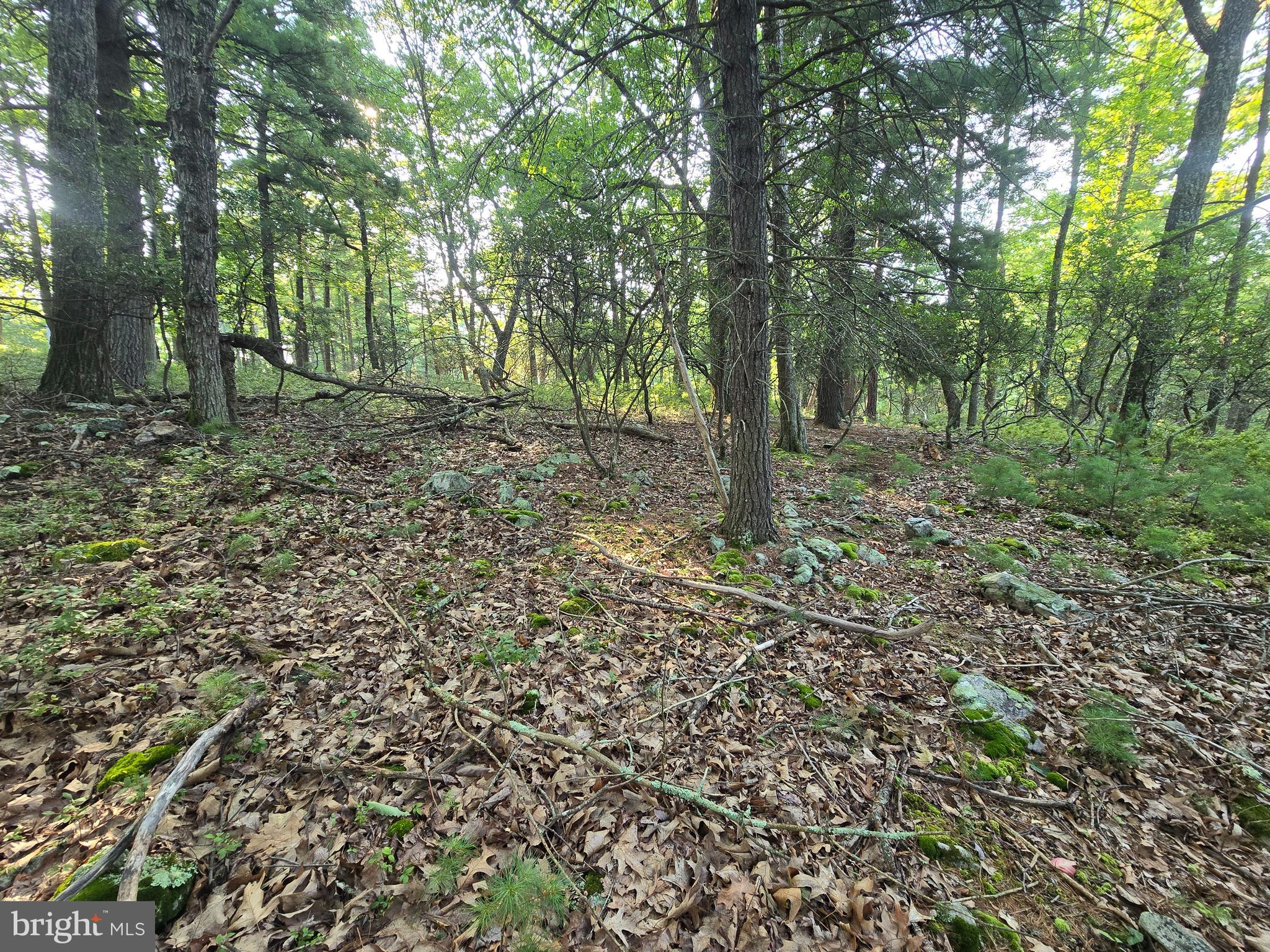 Lot # Highland Ridge Franklin, WV 26807 - Photo 13 of 19 Gallery Image 13