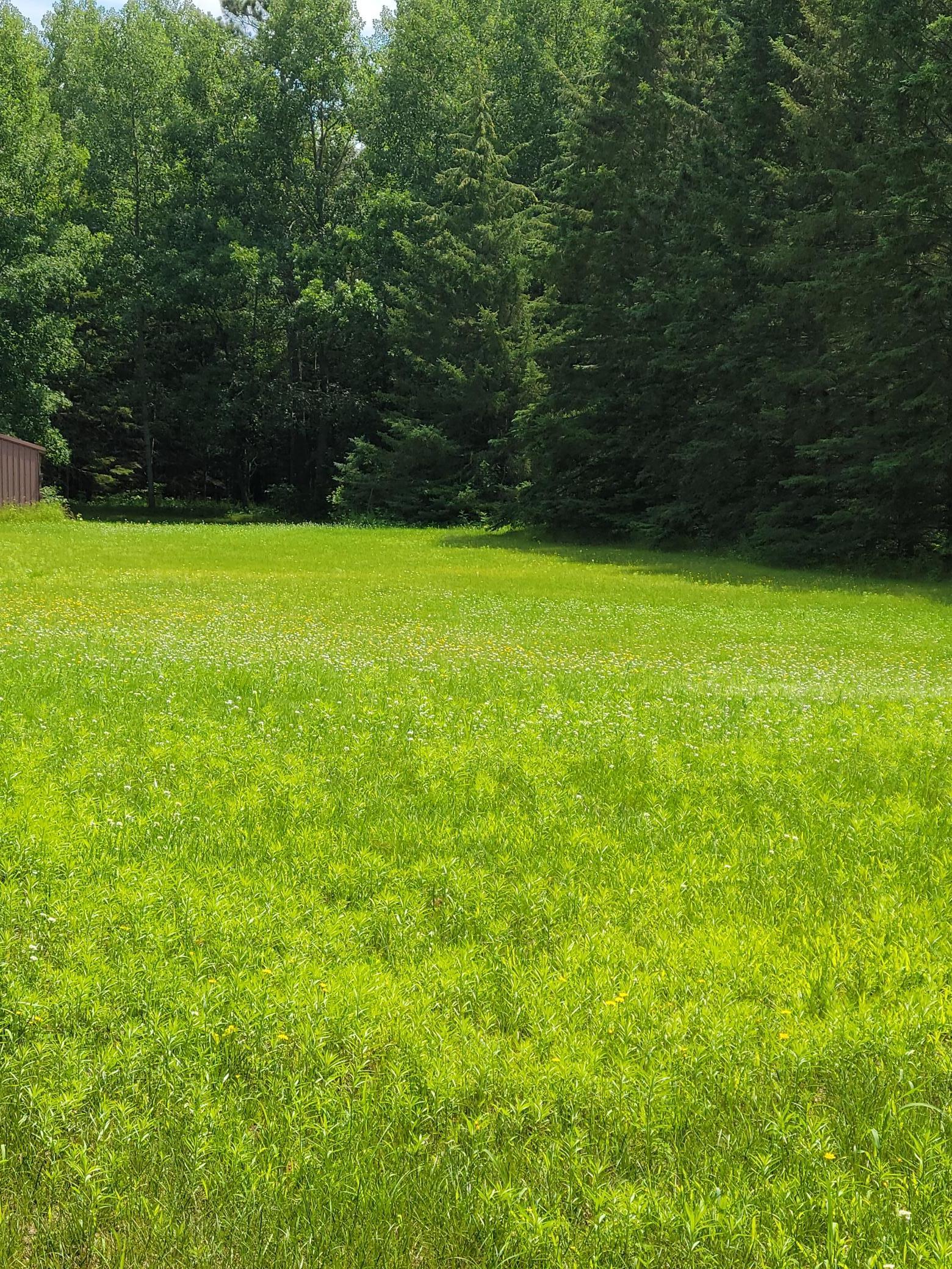 15169 Stocking Lake Road Menahga, MN 56464 - Photo 24 of 29