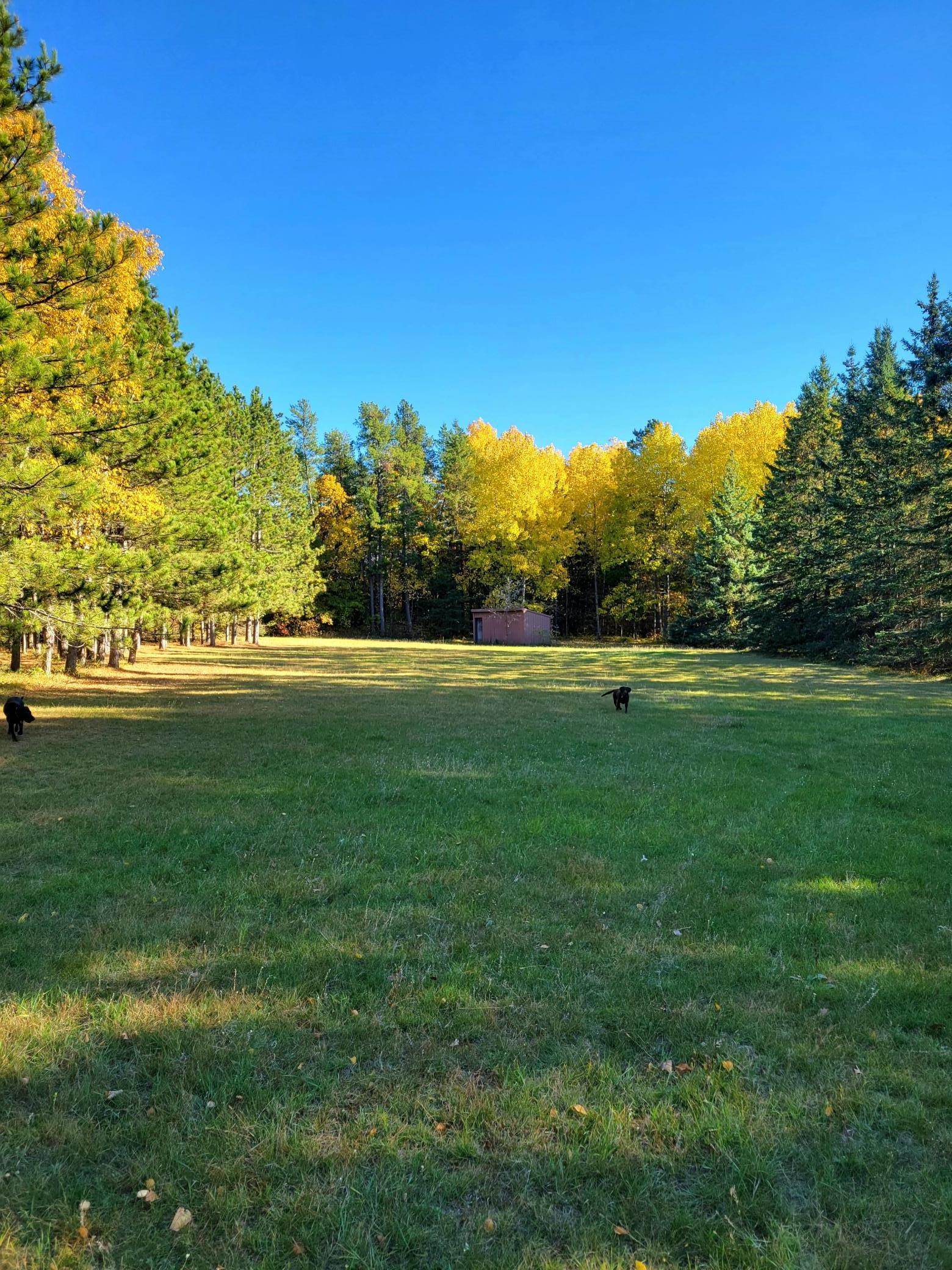 15169 Stocking Lake Road Menahga, MN 56464 - Photo 25 of 29