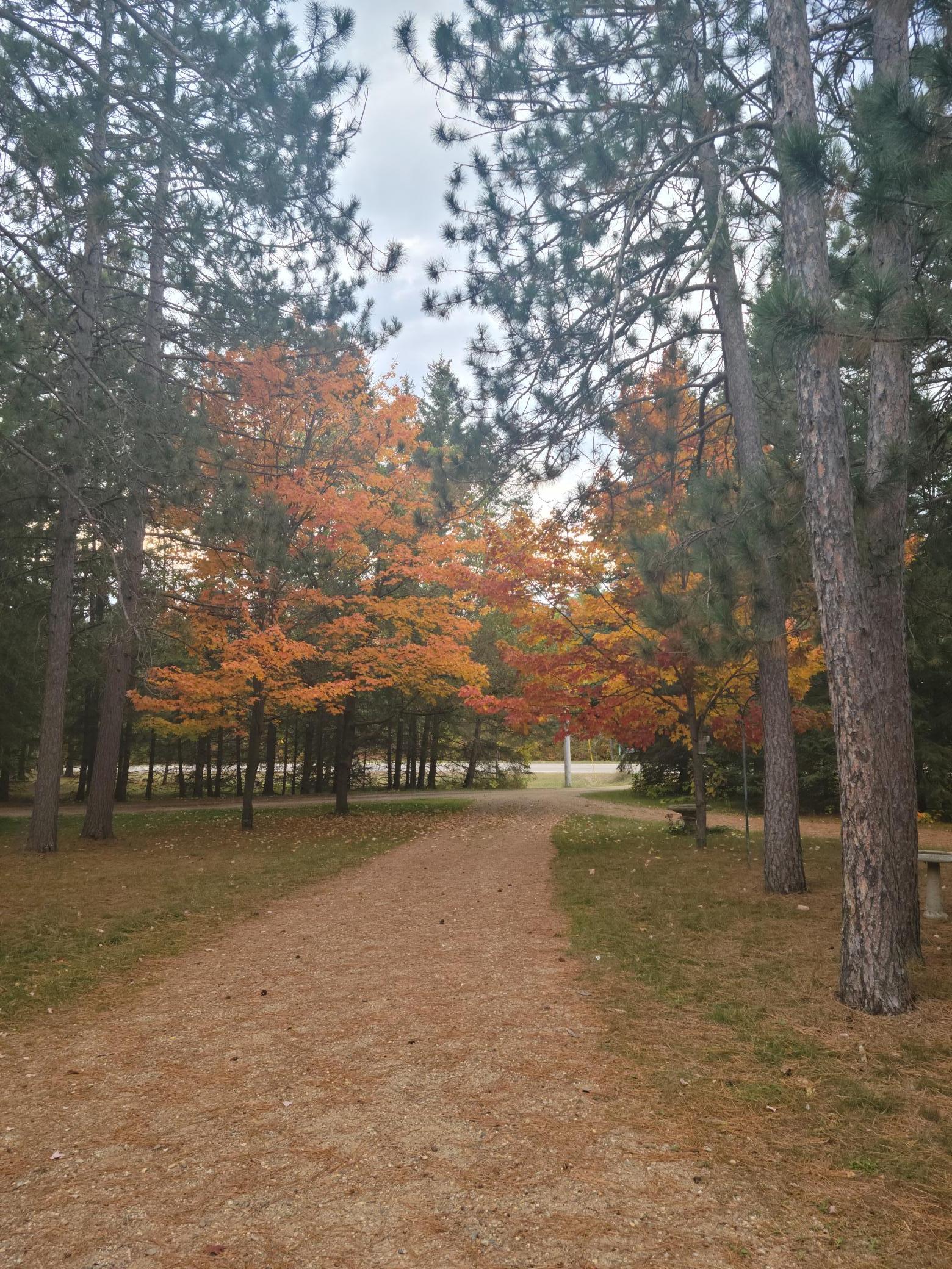 15169 Stocking Lake Road Menahga, MN 56464 - Photo 4 of 29