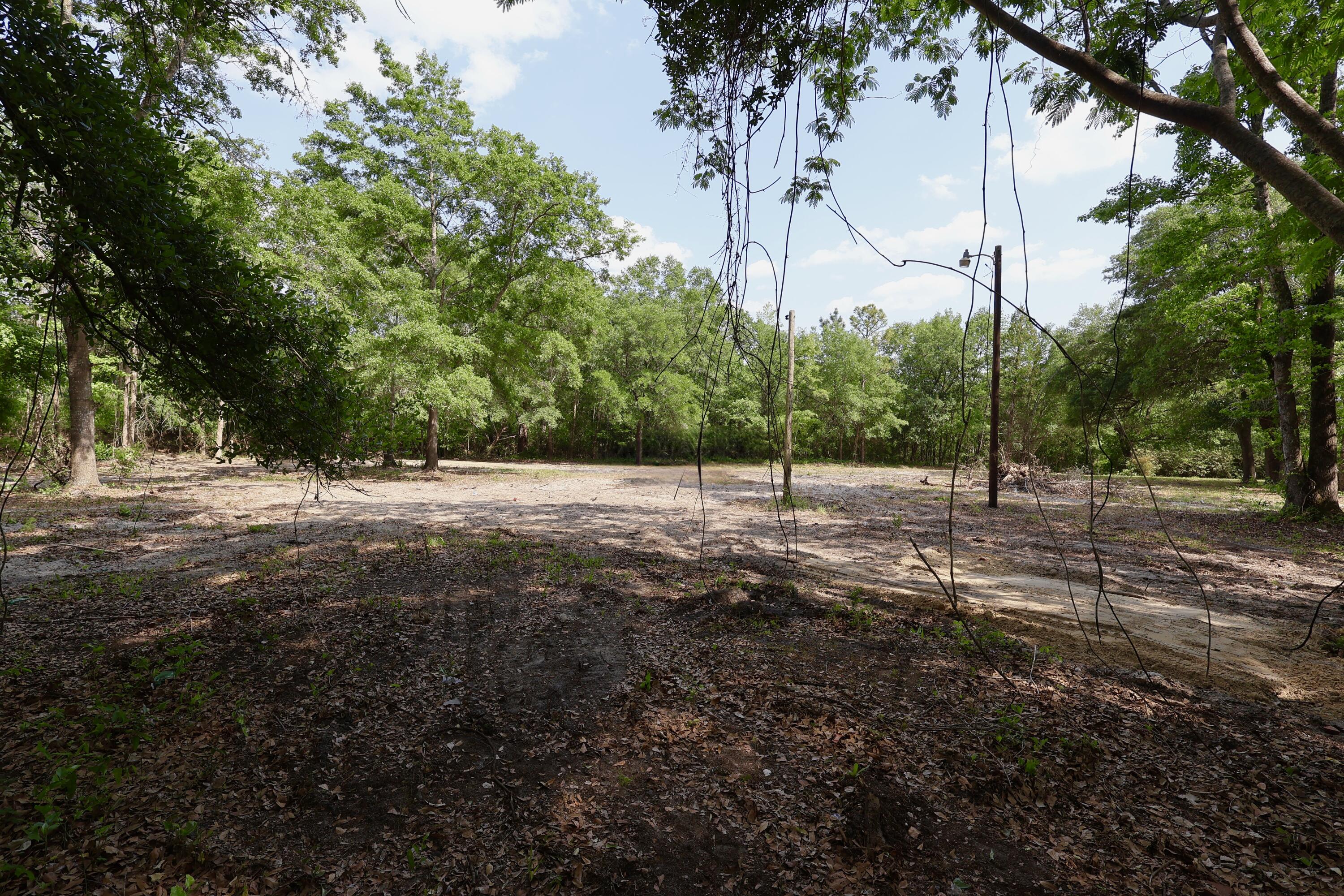 0 Mill Pond Road Dorchester, SC 29437 - Photo 6 of 12