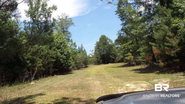 0 West Railroad Street Castleberry, AL 36432 - Photo 32 of 41