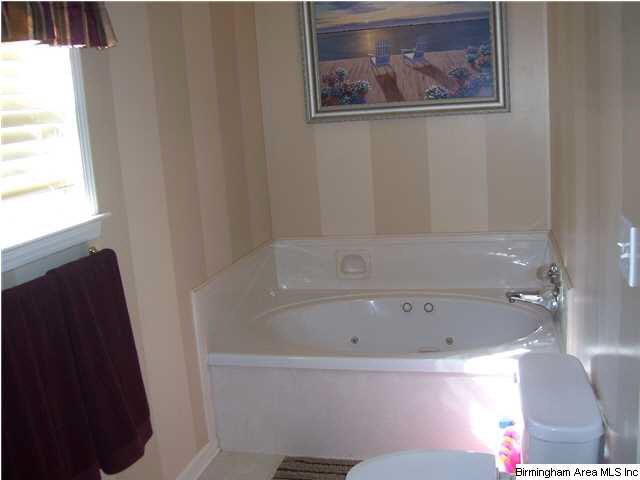 6148 Swann Road Mount Olive, AL 35117 - Photo 11 of 22