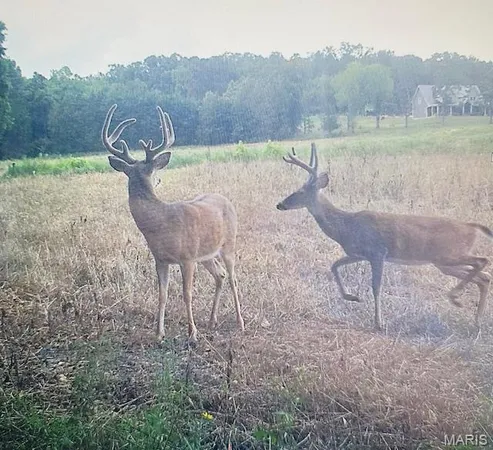 $104,400 | 18-acres Elk Head Road, Bland, MO 65014