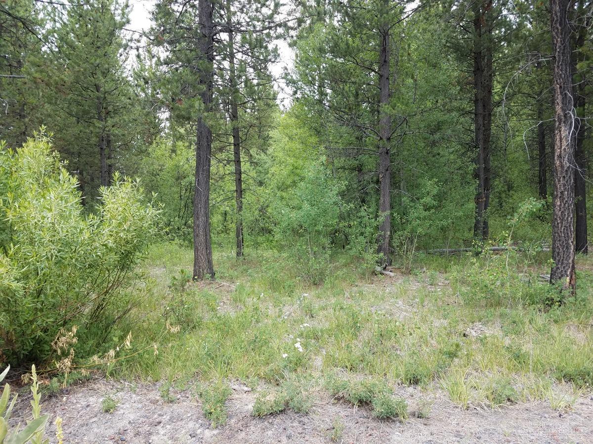 17110 Covina Road Bend, OR 97707 - Photo 3 of 4 Additional Photo