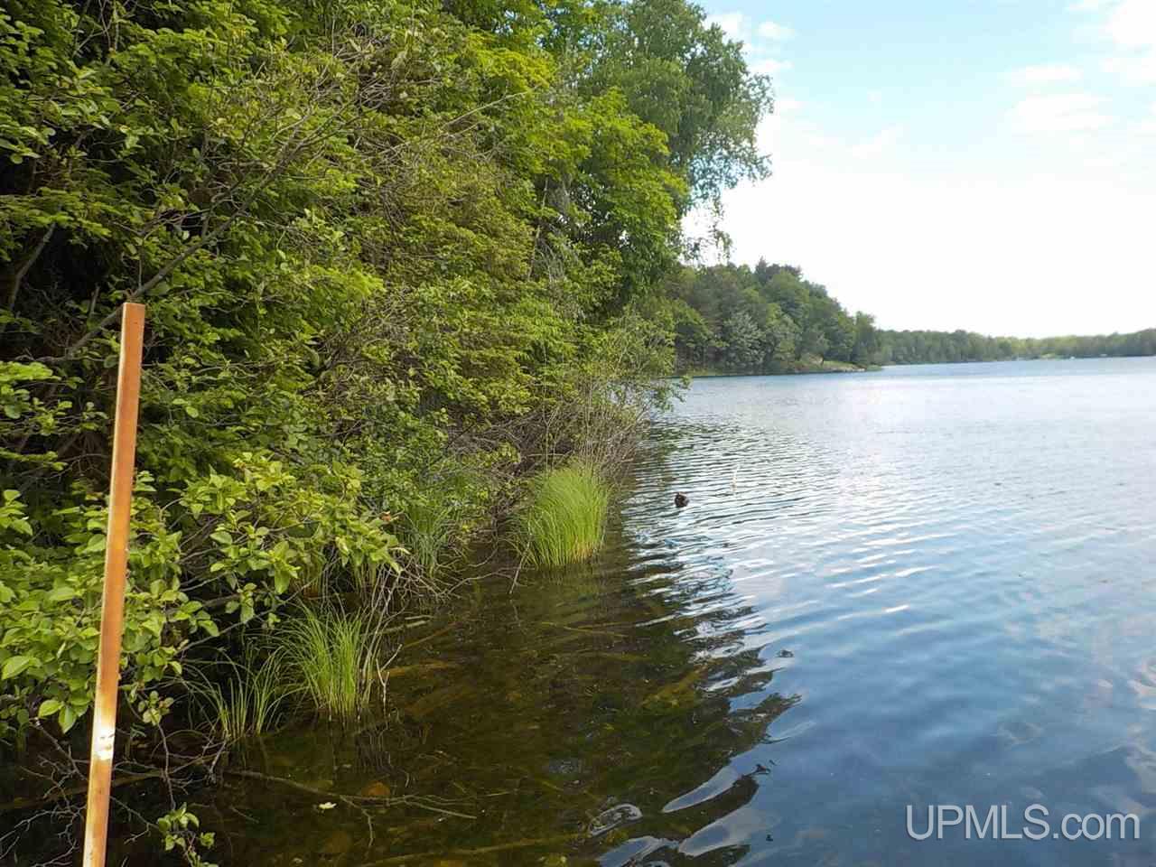 2.84-ac Davis Road Crystal Falls, MI 49920 - Photo 3 of 19 Gallery Image 3