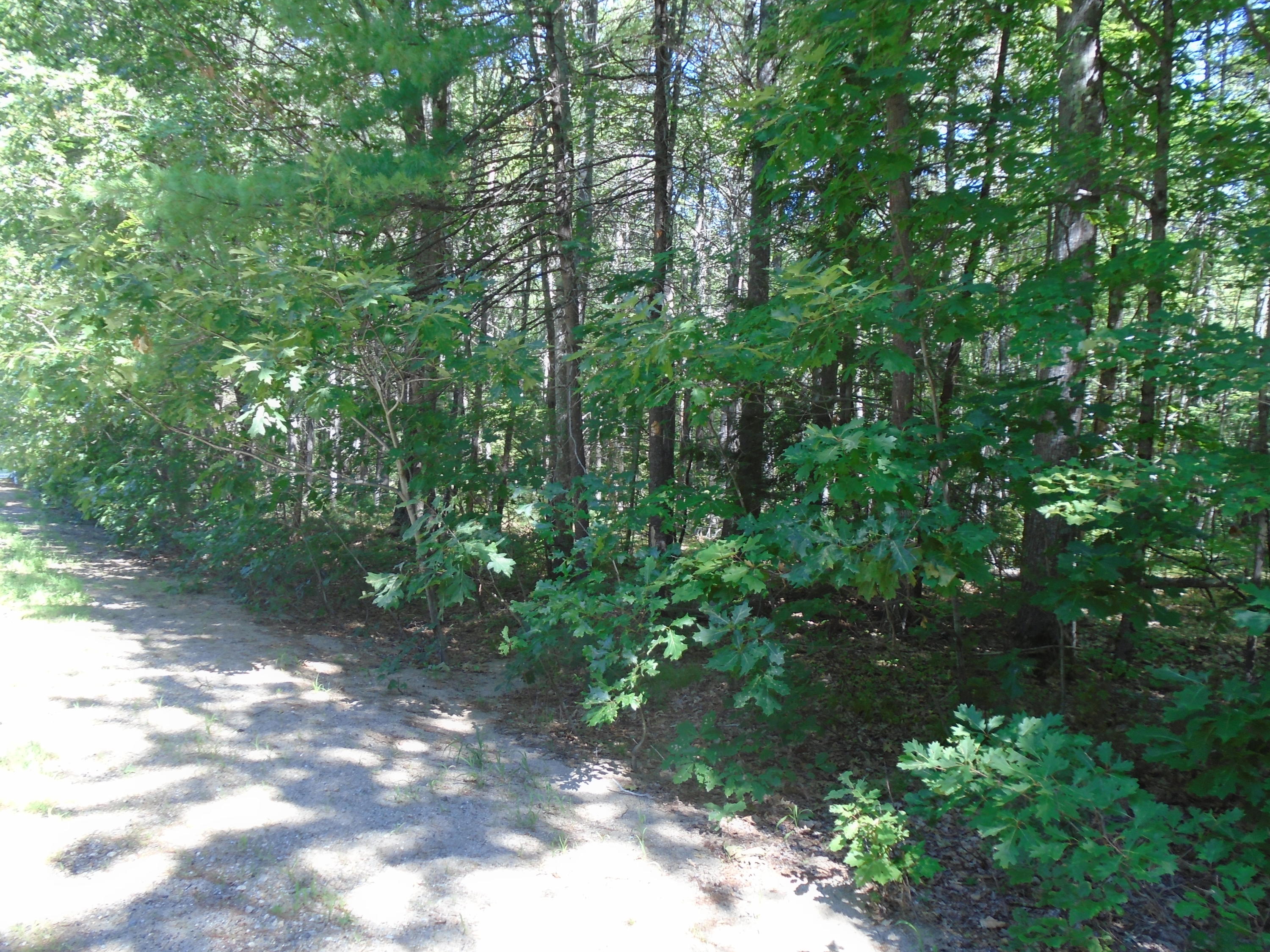 Parcel B Mouse Lane Alfred, ME 04002 - Photo 9 of 11 DSC01895