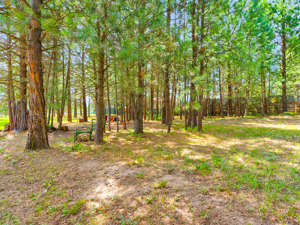 191 Bear Wallow Road Cascade, ID 83611 - Photo 36 of 43 Gallery Image 36