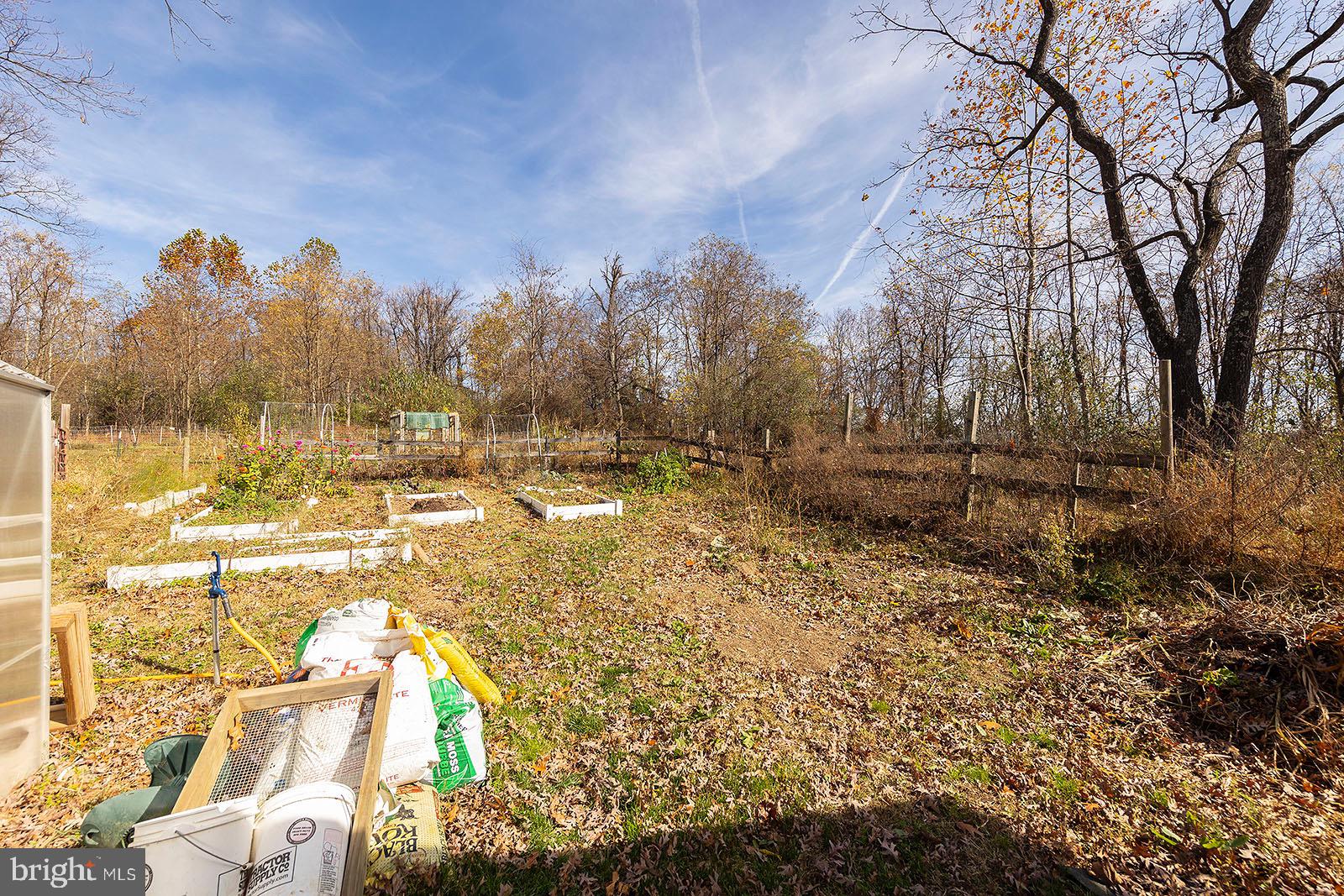 1100 Fishel Road Winchester, VA 22602 - Photo 21 of 74 Nice 5 Acre ridge lot with 18 Fruit Trees