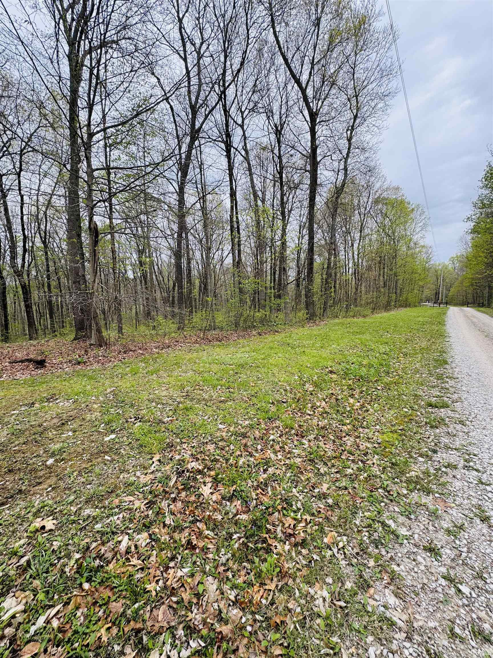 4 East Pine Road Bloomfield, IN 47424 - Photo 10 of 11 Gallery Image 10