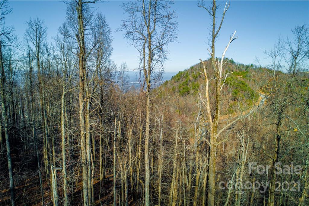 7014 Burkemont Road, Unit 2 & 3 Morganton, NC 28655 - Photo 8 of 16 Gallery Image 8
