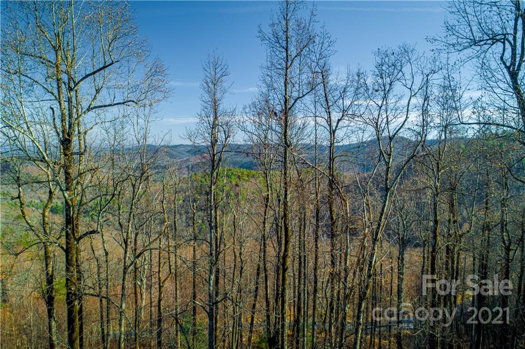 7014 Burkemont Road, Unit 2 & 3 Morganton, NC 28655 - Photo 9 of 16 Gallery Image 9