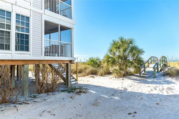 a view of a backyard with large trees and plants
