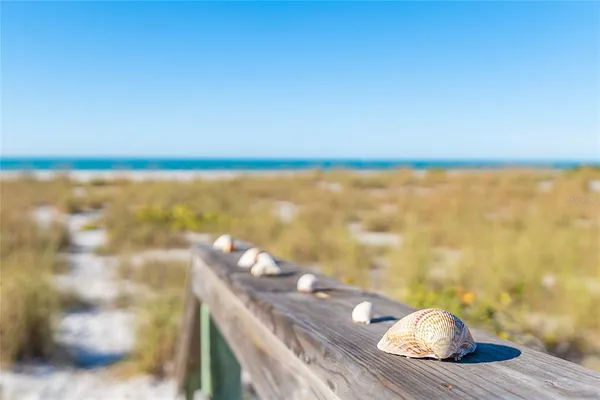 a view of city and ocean