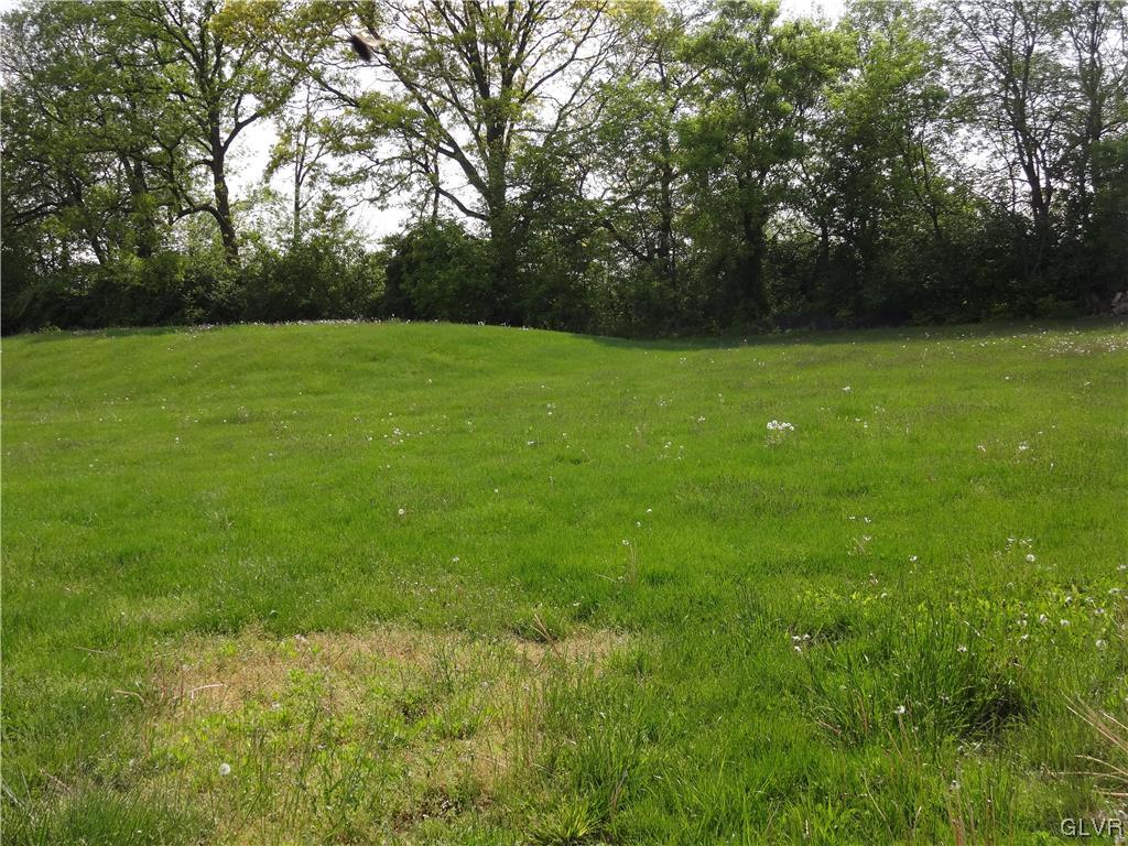 2311 Yost Road Bath, PA 18014 - Photo 6 of 21 a view of a green field with trees