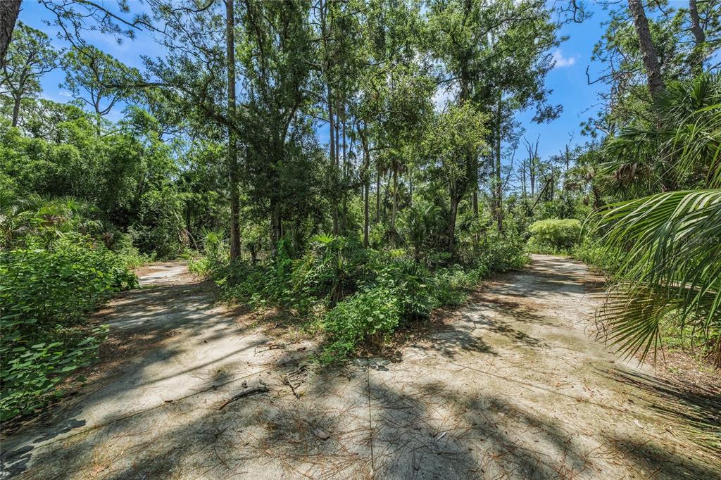 7080 Webber Road Sarasota, FL 34240 - Photo 11 of 11 Gallery Image 11