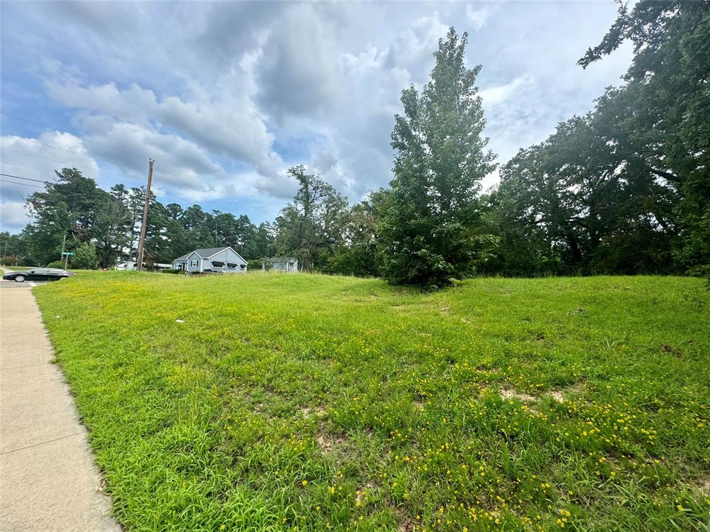 3328 West Erwin Street Tyler, TX 75702 - Photo 4 of 5 a view of a garden with a fountain