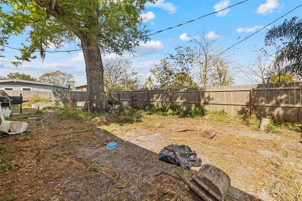 a view of a yard with a tree