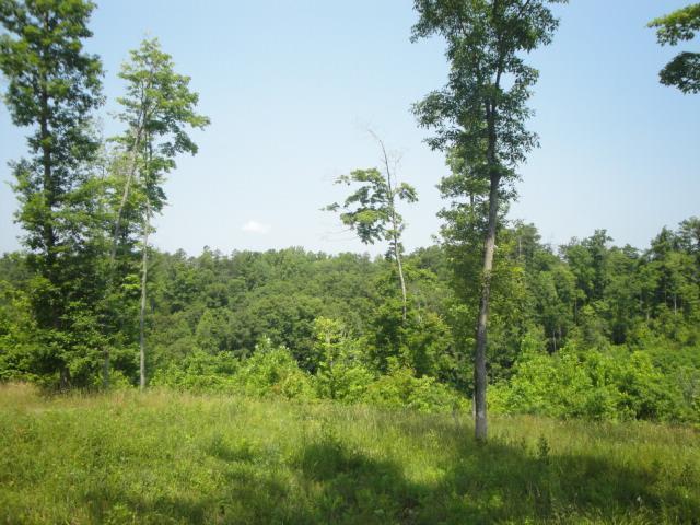 5 Keno Road Burnside, KY 42519 - Photo 3 of 5 Additional Photo