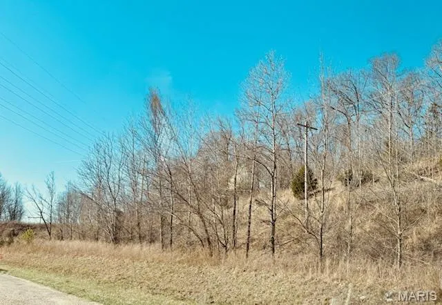 $200,000 | 0 State Highway, Jackson, MO 63755