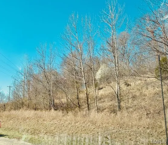 $200,000 | 0 State Highway, Jackson, MO 63755