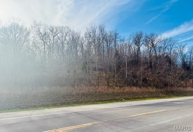 $200,000 | 0 State Highway, Jackson, MO 63755