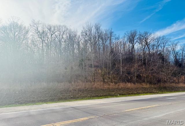 0 State Highway Jackson, MO 63755 - Photo 6 of 9