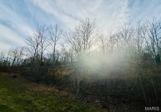 $200,000 | 0 State Highway, Jackson, MO 63755