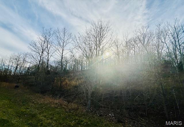 0 State Highway Jackson, MO 63755 - Photo 8 of 9