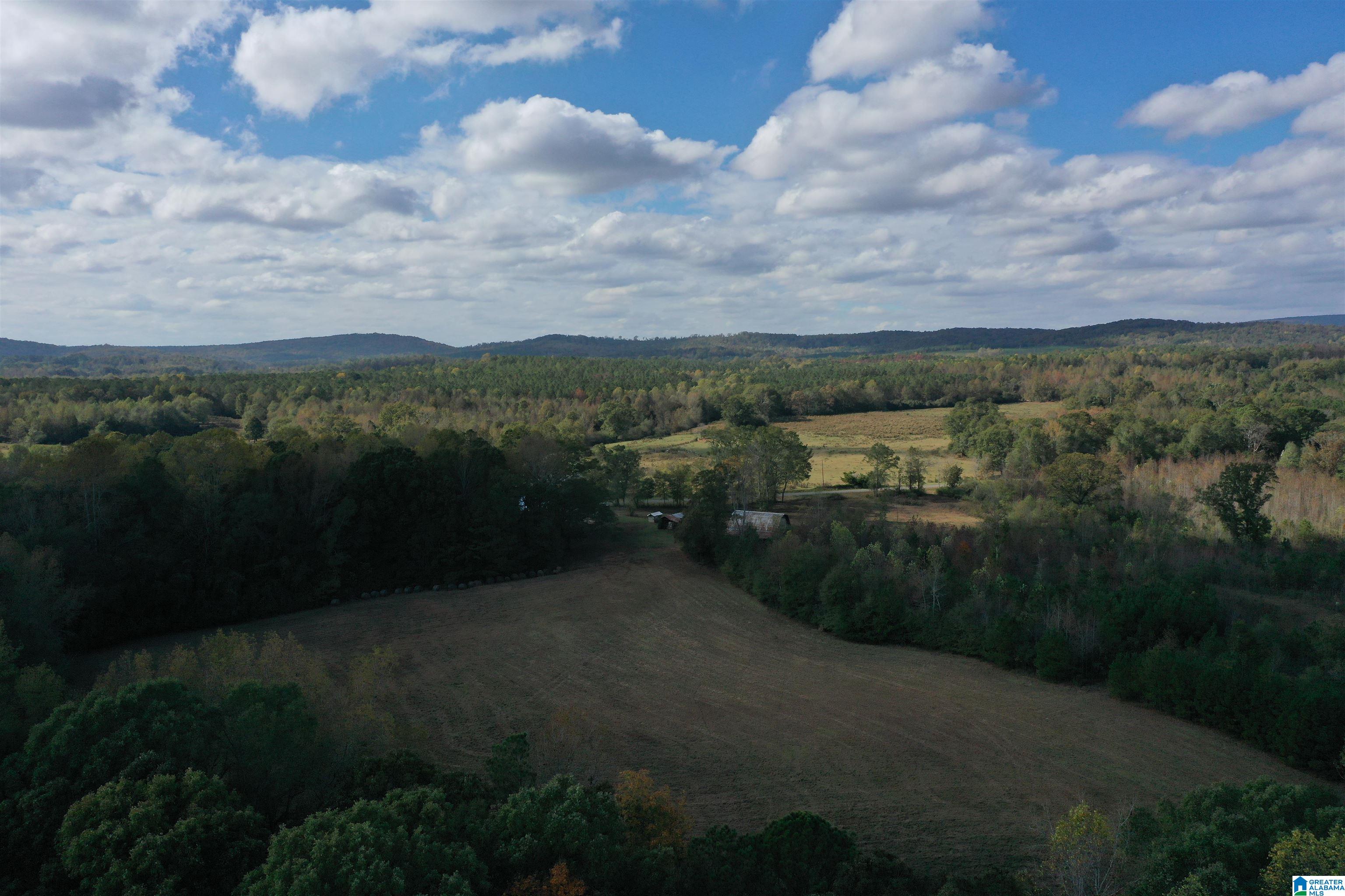 2518 Oak Grove Road Lineville, AL 36266 - Photo 11 of 48 Gallery Image 11