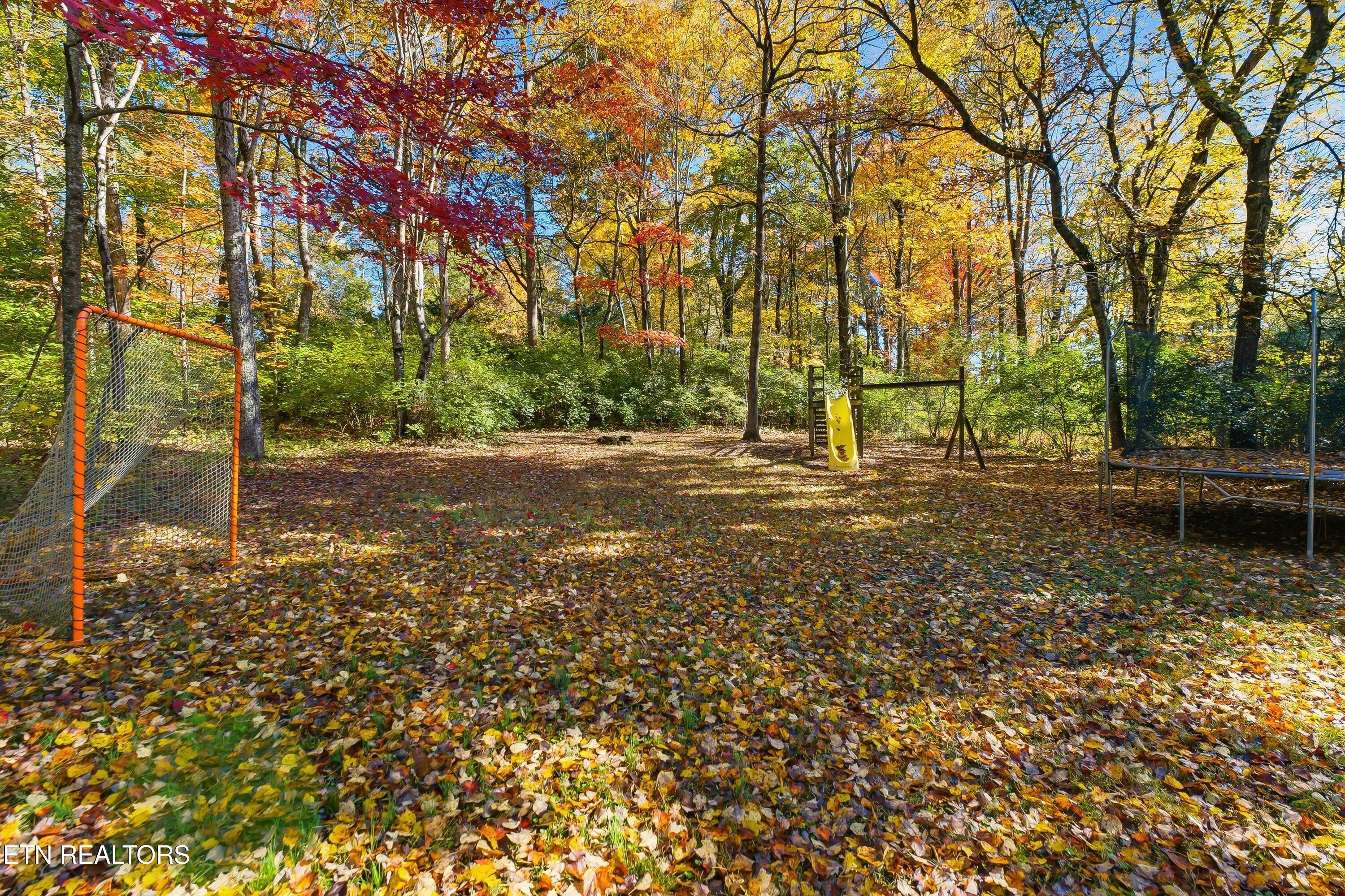 2629 Chukar Road Knoxville, TN 37923 - Photo 24 of 25 Back Yard