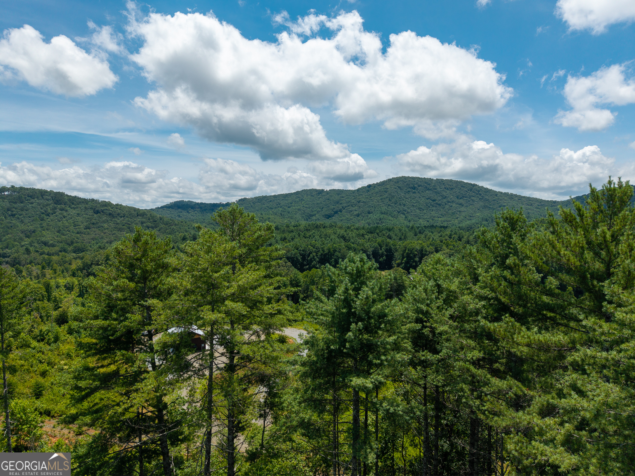 0 Higdon Creek Road Blue Ridge, GA 30513 - Photo 4 of 48 Gallery Image 4