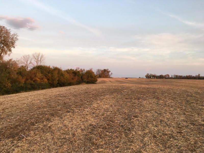 8.276-ac Tice Road Centerville, IN 47330 - Photo 1 of 1